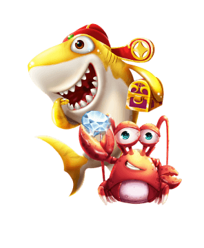 四川省内江市金沙足球正版